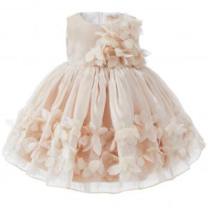 CC67574  Rosebud Lace Tulle Party Dress  (6-24 months)