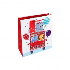 EU31427-3C  Birthday Party Zoo Medium Bag 