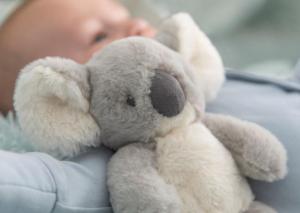 KTSE6709  14cm Eco Cozy Koala 