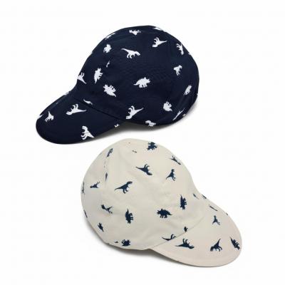 PB0358-1S  Dinosaur Cap  (0-6 months)