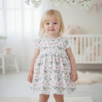 PX0910  Lark Dress  (9-18 months)